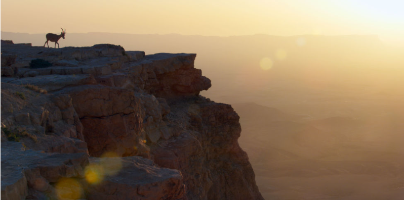 《地球脉动 第二季 Planet Earth Season 2》 (2016) 英国BBC纪录片【全6集 中英双字/11G】蓝光资源下载-玩嗨助吧网