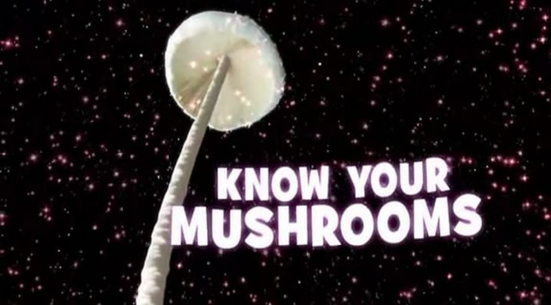 【纪录片】《了解你的蘑菇 Know Your Mushrooms》 (2008)单集全网盘下载-玩嗨助吧网