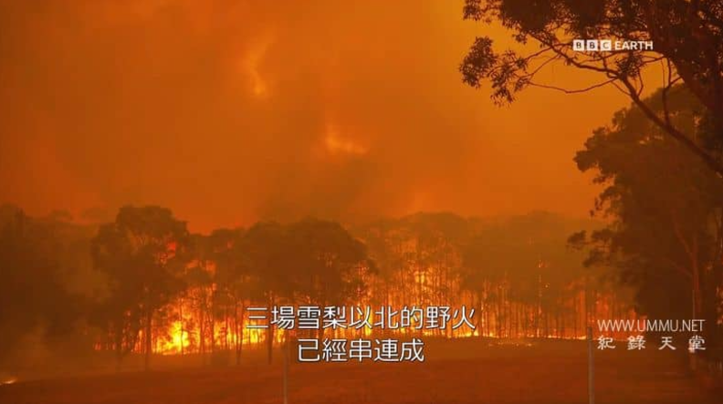 图片[2]-《气候变化：艾德前线调查 Climate Change: Ade on the Frontline》 (2021) 英国BBC纪录片【全3集】网盘下载-玩嗨助吧网