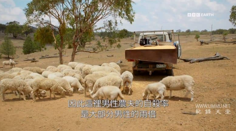 《气候变化:艾德前线调查 Climate Change: Ade on the Frontline》 (2021) 英国BBC纪录片【全3集】网盘下载-玩嗨助吧网