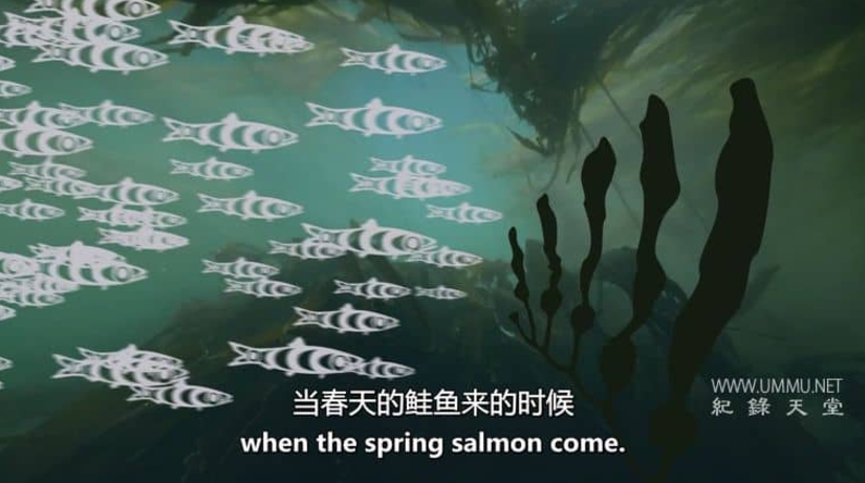 图片[3]-《鲸鱼和乌鸦 The Whale and the Raven》 (2019) 中英双字网盘下载【4GB】-玩嗨助吧网