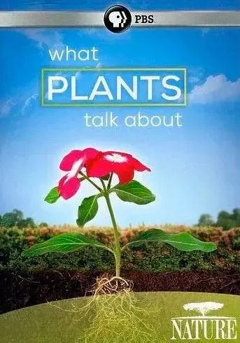 《植物间的对话 What Plants Talk About》 (2013) 全1集网盘下载【1.3G】-玩嗨助吧网