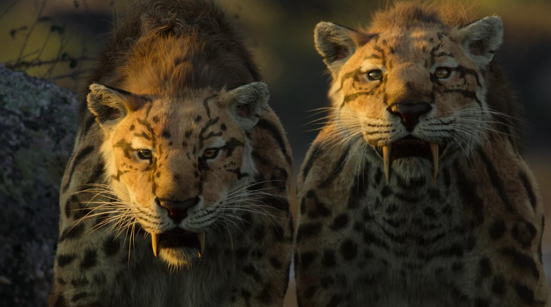 《我们星球上的生命 Life on Our Planet》 (2023) BBC纪录片【全8集/英语中字/1080P】高清资源下载-玩嗨助吧网