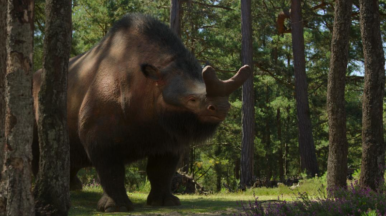 图片[3]-《我们星球上的生命 Life on Our Planet》 (2023) BBC纪录片【全8集/英语中字/1080P】高清资源下载-玩嗨助吧网