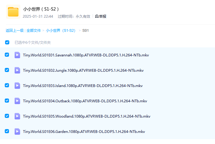 图片[3]-《小小世界 第1-2季 Tiny World》 (2020) 美国自然纪录片【全12集/英语中字/1080P】高清资源下载-玩嗨助吧网