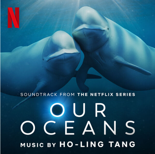 《我们的海洋 Our Oceans》 (2024) Netflix自然纪录片【全5集/英语多国字幕/15G】高清资源下载-玩嗨助吧网