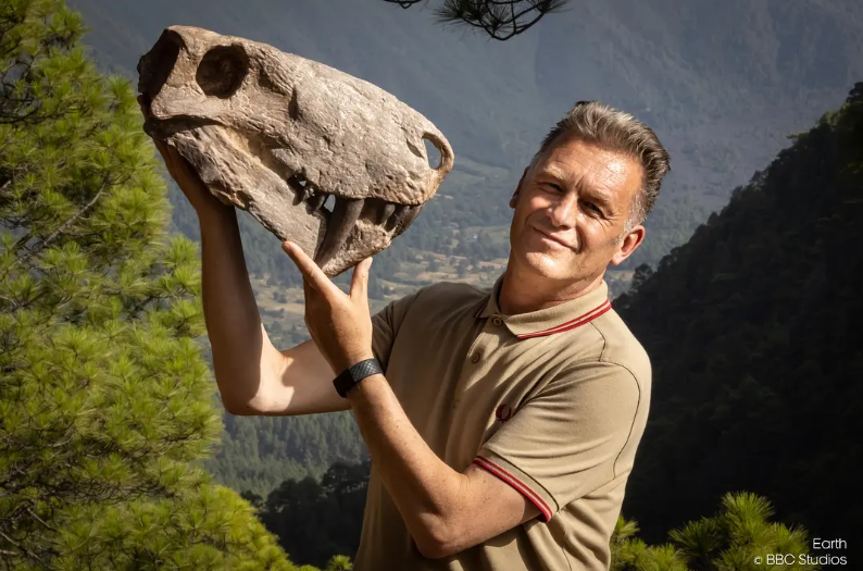 图片[4]-《地球 Earth》 (2023) 英国BBC自然纪录片【全5集】高清资源下载-玩嗨助吧网