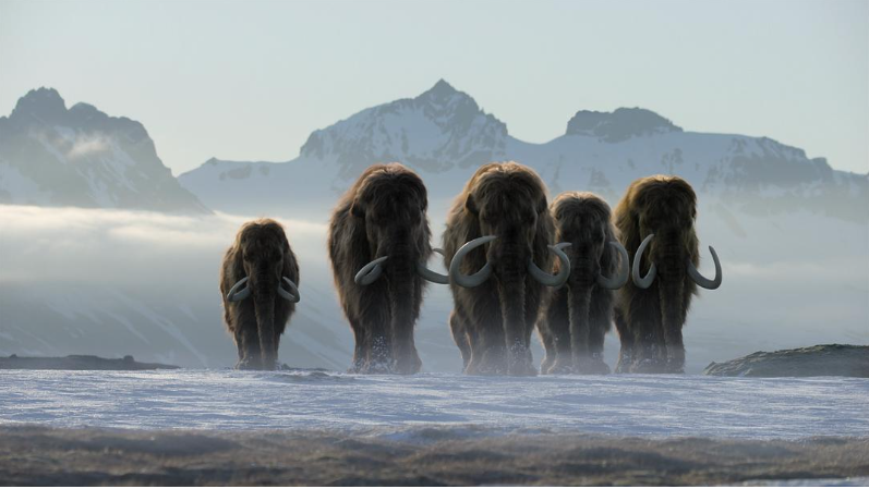 《我们星球上的生命 Life on Our Planet》 (2023) Netflix&BBC自然纪录片【全8集/英语中字】高清资源下载-玩嗨助吧网