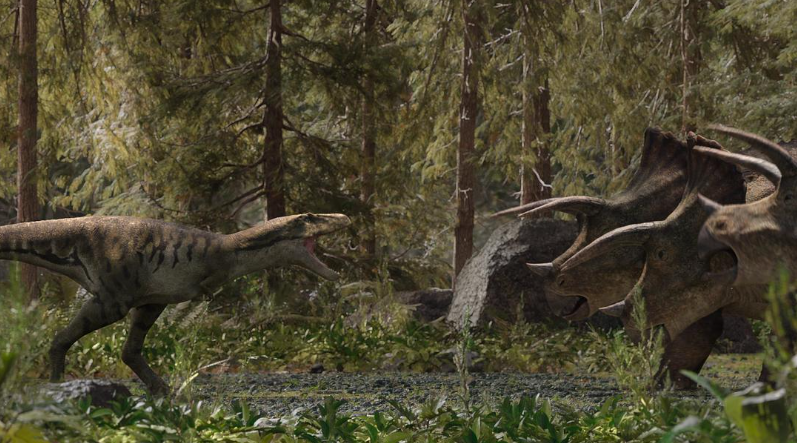 图片[4]-《我们星球上的生命 Life on Our Planet》 (2023) Netflix&BBC自然纪录片【全8集/英语中字】高清资源下载-玩嗨助吧网