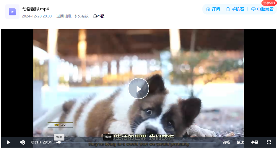 图片[3]-《动物视界 What Animals See》 (2022) 美国自然纪录片【英语内嵌中英双字/1080P】高清资源下载-玩嗨助吧网