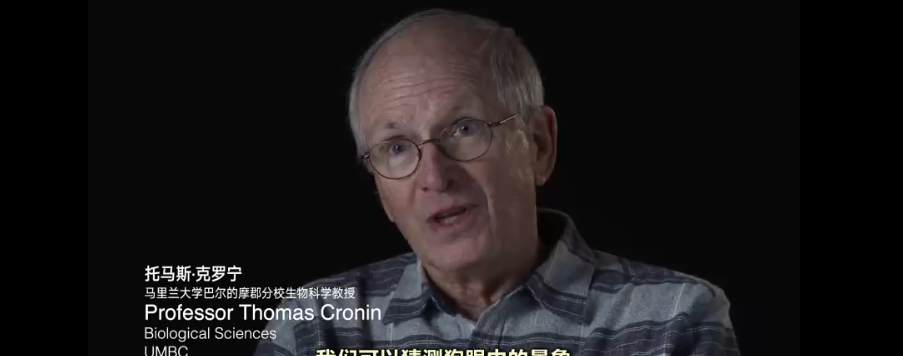 图片[4]-《动物视界 What Animals See》 (2022) 美国自然纪录片【英语内嵌中英双字/1080P】高清资源下载-玩嗨助吧网