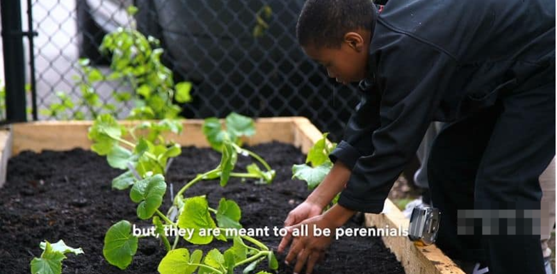 图片[5]-《为了明天 Feeding Tomorrow》 (2024) 记录片【单集全/中英双字/1080P】网盘下载-玩嗨助吧网