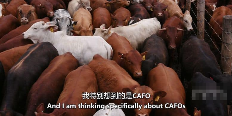 《为了明天 Feeding Tomorrow》 (2024) 记录片【单集全/中英双字/1080P】网盘下载-玩嗨助吧网