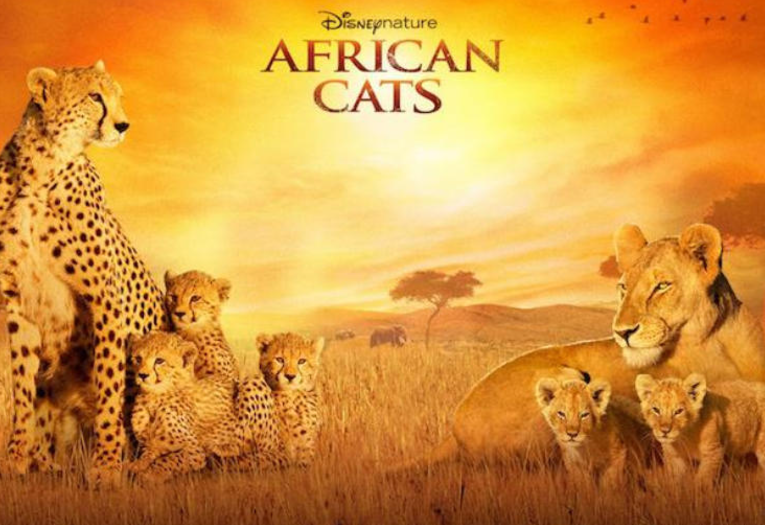 《迪士尼自然合辑 Disneynature》 (2022) 纪录片【全9集/英语中字/1080P】高清资源下载-玩嗨助吧网