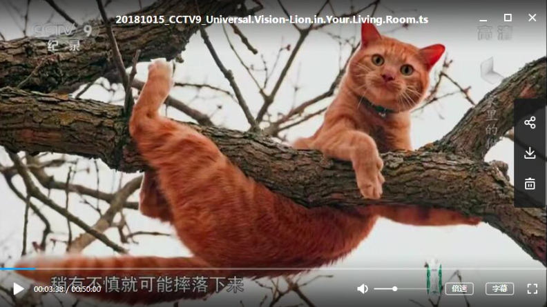 图片[4]-《家里的狮子 The Lion in Your Living Room》 (2015) 【单集全/中英双字】高清资源下载-玩嗨助吧网