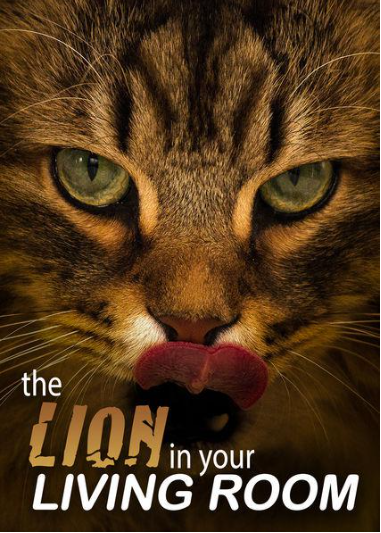 《家里的狮子 The Lion in Your Living Room》 (2015) 【单集全/中英双字】高清资源下载-玩嗨助吧网