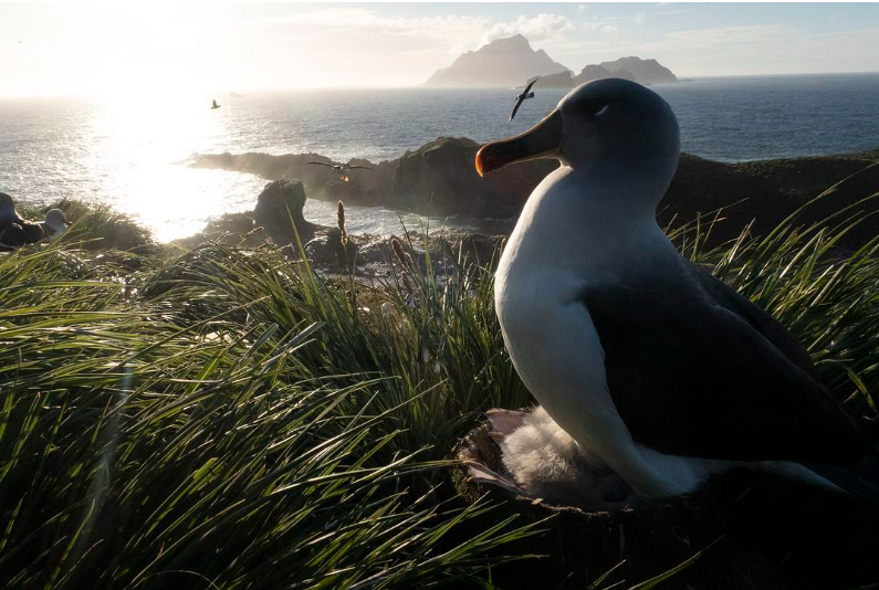 图片[4]-【BBC神作】七个世界，一个星球 (2019) 全7集【中英双字】- 豆瓣9.7分视觉史诗典藏版-玩嗨助吧网