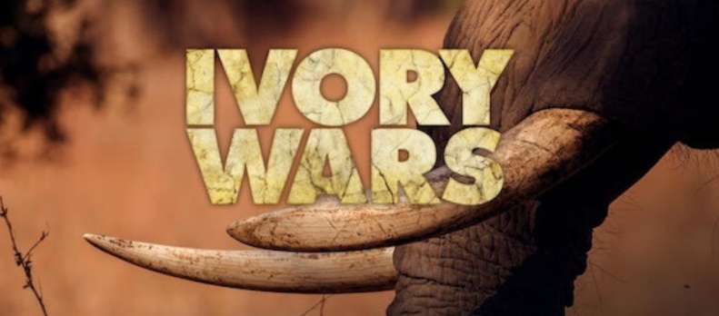 《象牙战争 Ivory Wars 2013》 (2013) 美国Discovery纪录片【全3集/英语中字】高清资源下载-玩嗨助吧网