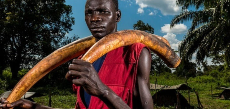 图片[4]-《象牙战争 Ivory Wars 2013》 (2013) 美国Discovery纪录片【全3集/英语中字】高清资源下载-玩嗨助吧网