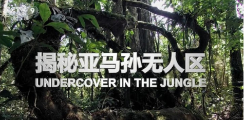 《揭秘亚马孙无人区 Undercover in the Jungle 2019》 (2019) CCTV自然纪录片【单集全/汉语中字】高清资源下载-玩嗨助吧网
