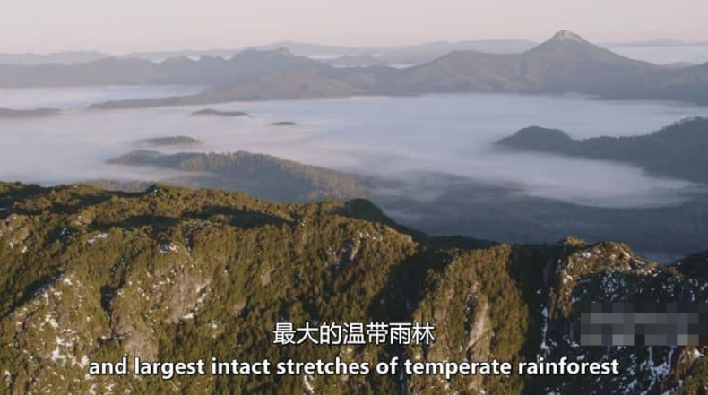 《十六条腿 Sixteen Legs》 (2022) 澳大利亚自然纪录片【全2集】高清资源下载-玩嗨助吧网