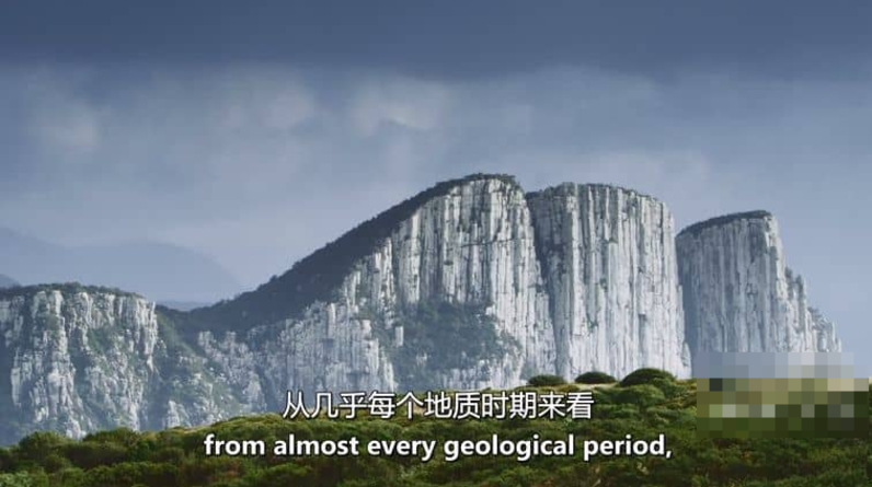 图片[4]-《十六条腿 Sixteen Legs》 (2022) 澳大利亚自然纪录片【全2集】高清资源下载-玩嗨助吧网