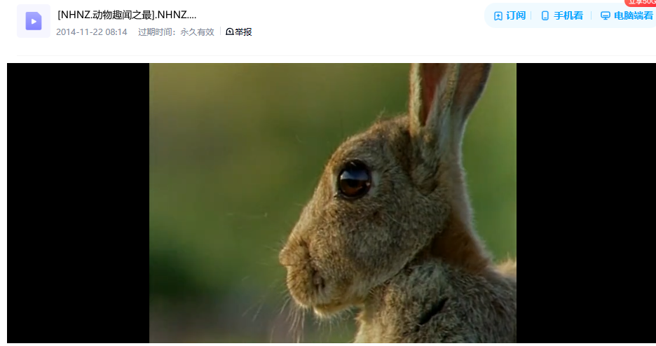 图片[4]-Discovery纪录片-玩嗨助吧网