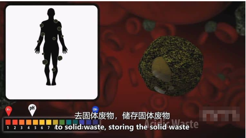 水的秘密 Secret Of Water (2015) 纪录片 | 单集全/中英双字/科学纪实-玩嗨助吧网