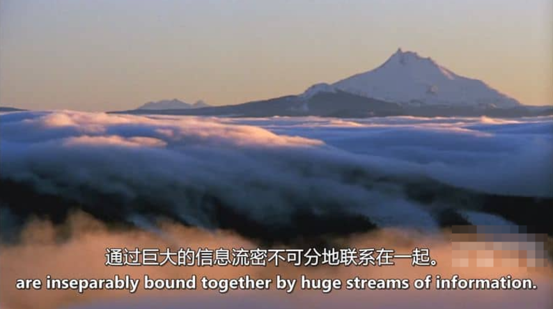 图片[4]-水的秘密 Secret Of Water (2015)  纪录片 | 单集全/中英双字/科学纪实-玩嗨助吧网