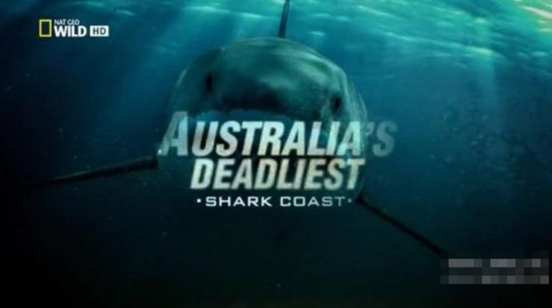 《致命的澳洲鲨鱼海岸 Australia's Deadliest Shark Coast》 (2013) 国家地理纪录片【单集全/英语中字】-玩嗨助吧网