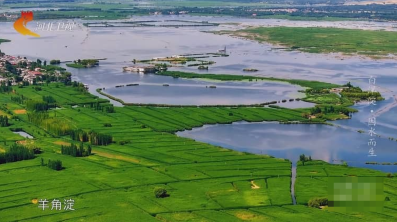 《白洋淀》 (2022) 中国自然纪录片【全3集/国语中字】高清资源下载-玩嗨助吧网