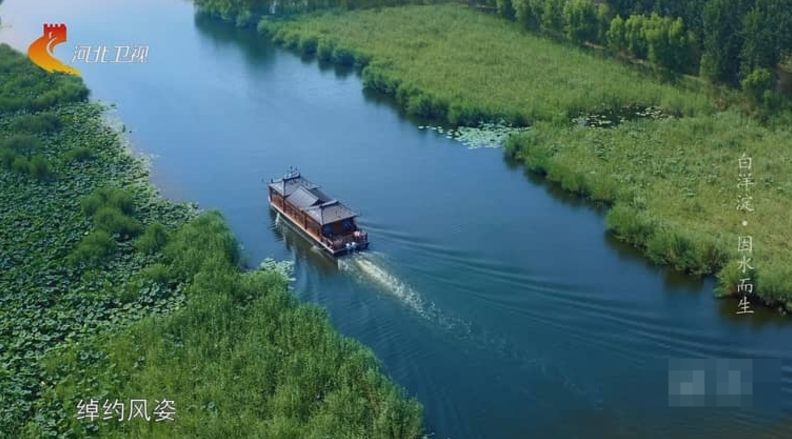 图片[4]-《白洋淀》 (2022) 中国自然纪录片【全3集/国语中字】高清资源下载-玩嗨助吧网