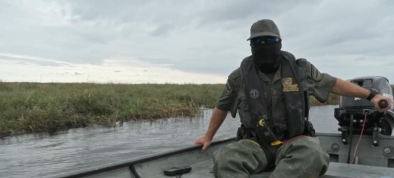 《路易斯安那保育战 第1季 Louisiana Law》 (2016) 美国Discovery纪录片【全7集】高清资源下载-玩嗨助吧网