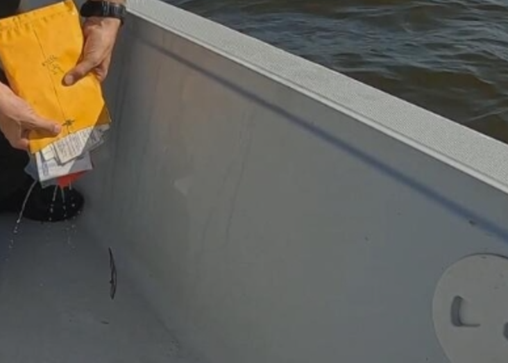 图片[4]-Discovery纪录片-玩嗨助吧网