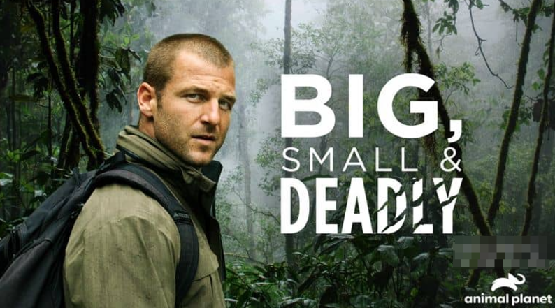 大的、小的和致命的 (2019) Discovery纪录片 | 全2集/中英双字/生存竞争实录-玩嗨助吧网