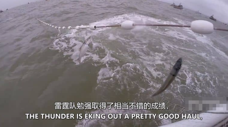 图片[4]-Discovery纪录片-玩嗨助吧网