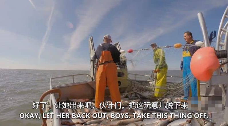 阿拉斯加:海湾捕鱼之战 (2022) Discovery纪录片 | 全8集/中英双字/极地实录-玩嗨助吧网