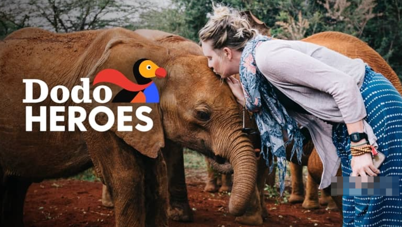 《渡渡鸟英雄:近距离的勇气 Dodo Heroes: Courage Up Close》 (2022) 美国Discovery纪录片【第1-2季全10集/中英双字】高清资源下载-玩嗨助吧网