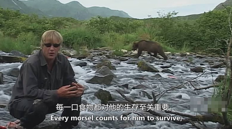 《灰熊人日记系列 Diary Of The Grizzly Man: Series》 (2022) 纪录片【全3集/中英双字】高清资源下载-玩嗨助吧网