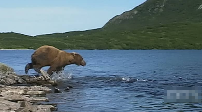 图片[4]-《灰熊人日记系列 Diary Of The Grizzly Man: Series》 (2022) 纪录片【全3集/中英双字】高清资源下载-玩嗨助吧网