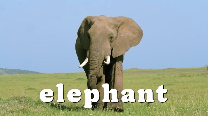 《怪诞星球 Absurd Planet》 (2020) 美国Netflix纪录片【全12集/中英双字】高清资源下载-玩嗨助吧网