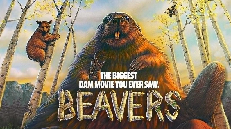 《海狸 Beavers》 (1988) 美国IMAX自然纪录片【单集全/中英双字】高清资源下载-玩嗨助吧网