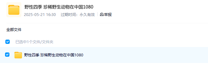 图片[2]-《野性四季：珍稀野生动物在中国》 (2022) BBC纪录片【全5集/中英双字】高清资源下载-玩嗨助吧网