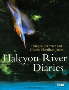 《翠鸟河日记 Halcyon River Diaries》 (2010) 英国BBC纪录片【单集全/中英双字】高清资源下载-玩嗨助吧网