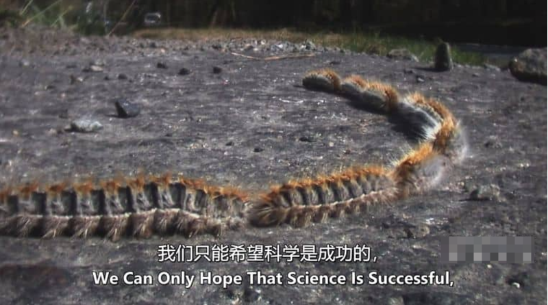 图片[4]-《怪物入侵 Alien Takeover》 (2022) 美国Curiosity纪录片【全2集/英语中英双字】高清资源下载-玩嗨助吧网