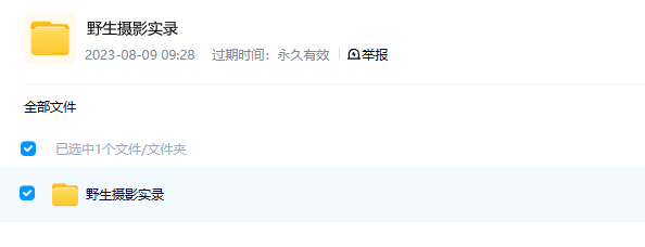 图片[2]-《野生摄影实录 Wild Cameramen at Work》 (2013) 英国自然纪录片【全4集/英语中英双字】-玩嗨助吧网