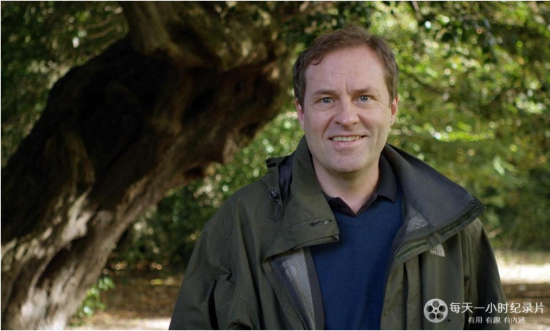 《英国年度之树 Tree of the year with Ardal O'Hanlon》 (2016) 英国自然纪录片【单集全/中英双字】-玩嗨助吧网