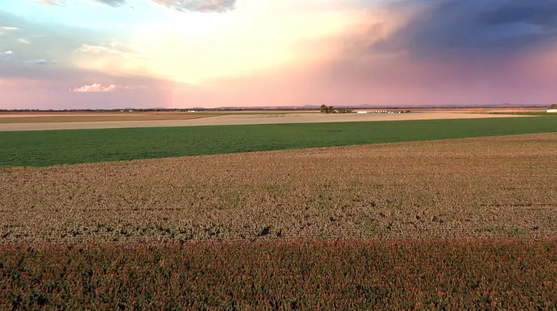 图片[3]-《绿野仙澳 Australia: Earth’s Magical Kingdom》 (2019) 英国BBC纪录片【全3集/中英双字】-玩嗨助吧网