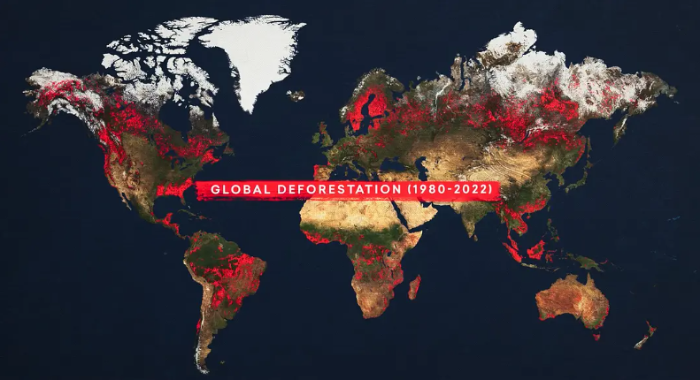 图片[2]-《狂野人生 Wild Life》 (2023) 美国自然纪录片【单集全/中英双字】-玩嗨助吧网