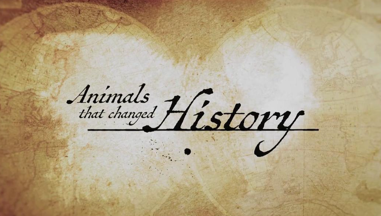 图片[4]-《改变历史的动物 Animals that Changed History》 (2016) 澳大利亚自然纪录片【全6集/中英双字】-玩嗨助吧网
